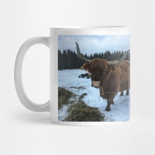 Scottish Highland Cattle Cow 2193 Mug